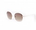 Flamingo солнцезащитные очки с футляром 5028 c2 (фото 1)