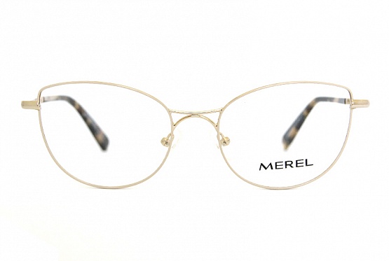 Merel   +  6366 c3 ( 2)